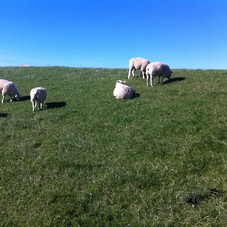 Σπίτι διακοπών In 20-080 Neßmersiel